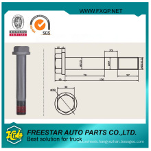 Truck Screw with Hex Head and Threaded Rod